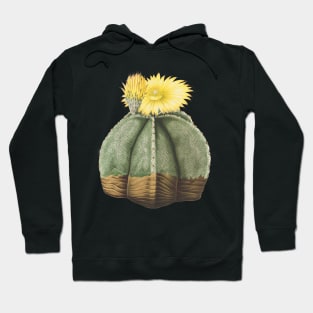 Bishop's Cap Cactus in bloom- Astrophytum Myriostigma Hoodie